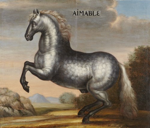 Porträtt av Aimable (häst), 1650, 