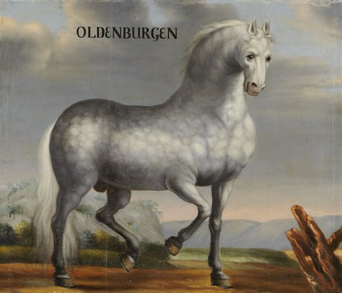 Hästporträtt, Oldenburgen, 1650, 