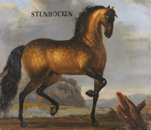 Hästporträtt, Stenbocken, 1650, 