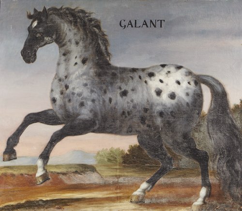 Hästporträtt,  Galant, 1650, 