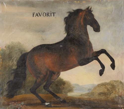 Hästporträtt, Favorit, 1650, 