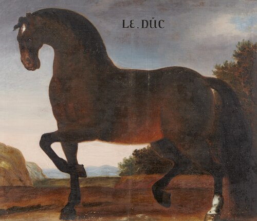 Hästporträtt, Le Düc, 1650, 