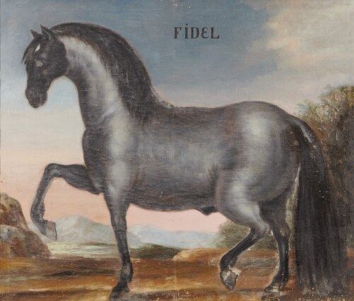 Hästporträtt, Fidel, 1650, 