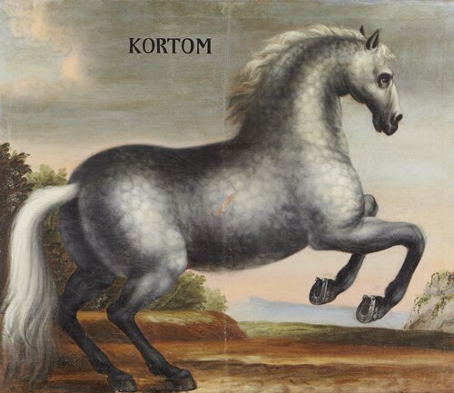 Hästporträtt, Kortom, 1650, 