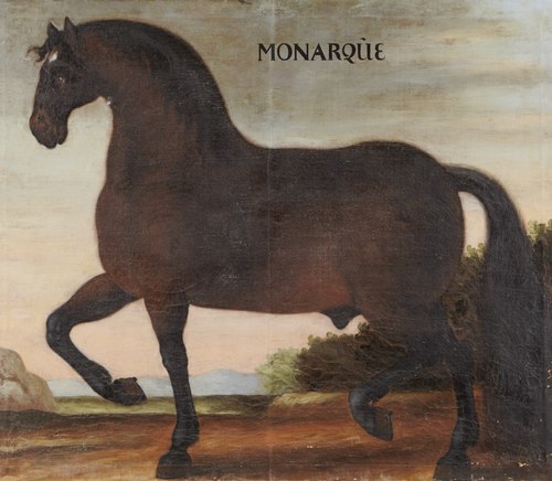 Hästporträtt, Monarqũe, 1650, 