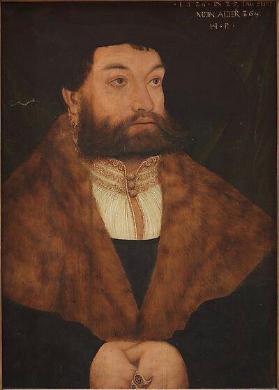 Portrait of a Bearded Man, 1526, 