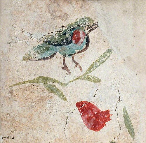 Bird and Fruit, 150, 