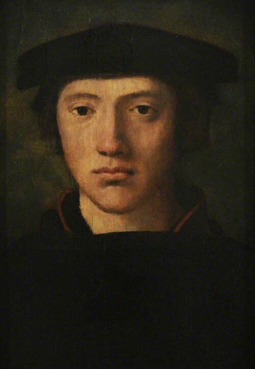 Portrait of a Young Man, 1525, 
