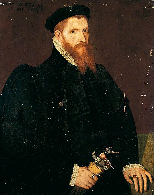 Portrait of an Unknown Man with a Red Beard, Aged 40, 1563, 