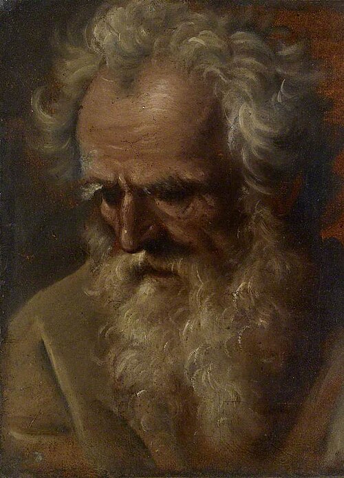 Head of an old Man, 1600, 