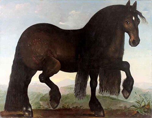 Horse, 1628, 