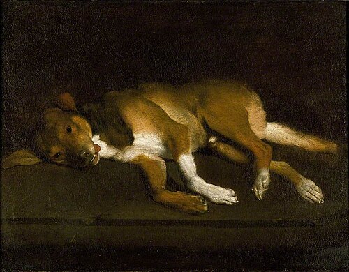 A Dog lying on a Ledge, 1665, 