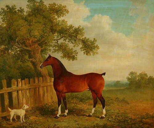 Horse and Dog in a Landscape, 1800, 