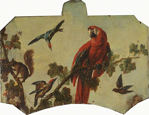 Parrot and Other Exotic Birds, 1760, 