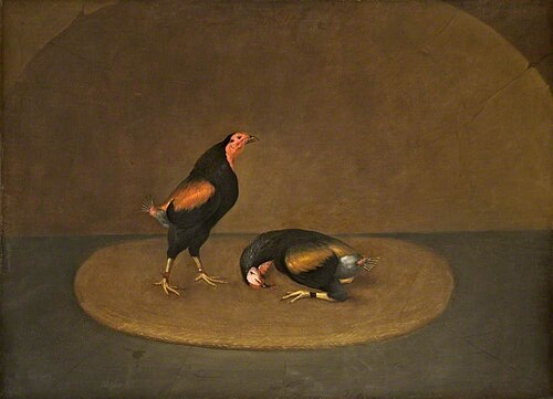 Lord Sefton's Black Breasted Reds after a Fight, 1805, 