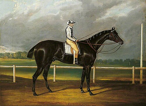 'Jerry', Winner of the St Leger, 1824, 