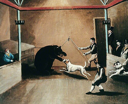 Bear Baiting, 1830, 