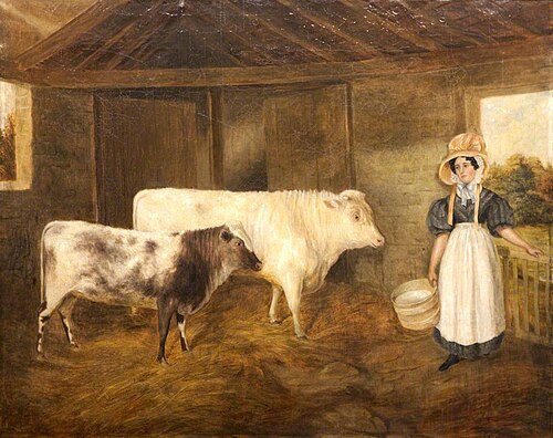 Bull and Heifer Calves, 1840, 