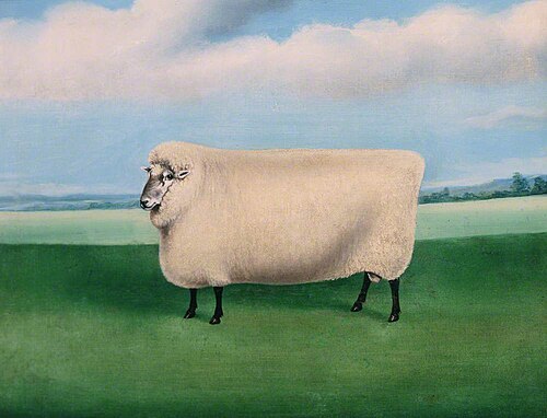 Prize Ram, 1870, 