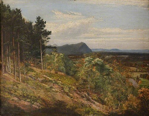 View from Nesscliffe Hill, Shropshire, 1866, 
