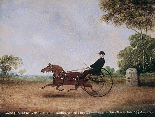 Master George, 1870, 