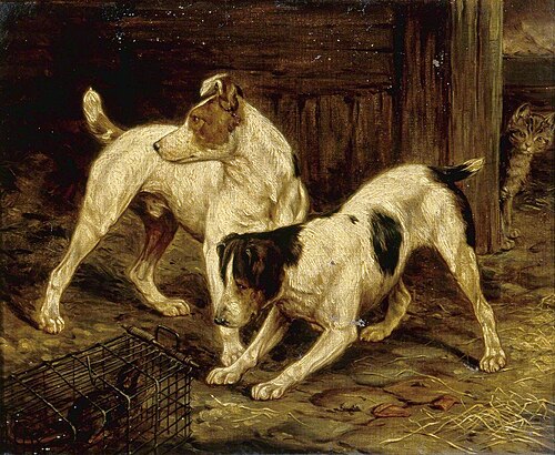 Terriers with a Caged Ferret, 1875, 