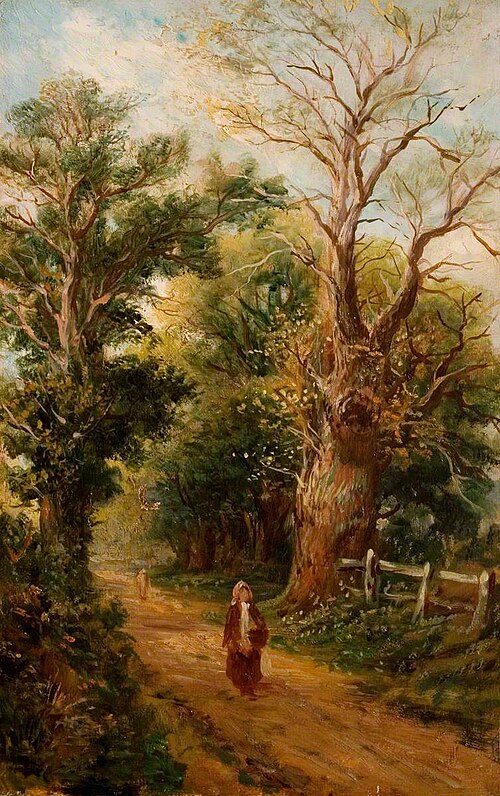 Country Lane, Perhaps Church Lane, Allesley, Warwickshire, 1880, 