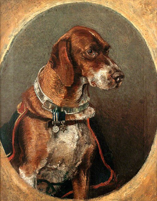 Nell, Adopted by the Royal Marine Artillery in the Early 1880s, 1883, 