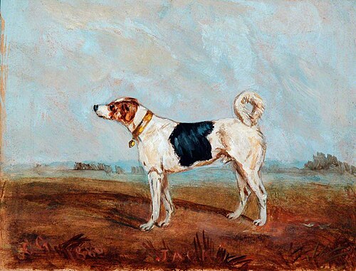 Jack, the Railway Dog, 1880, 