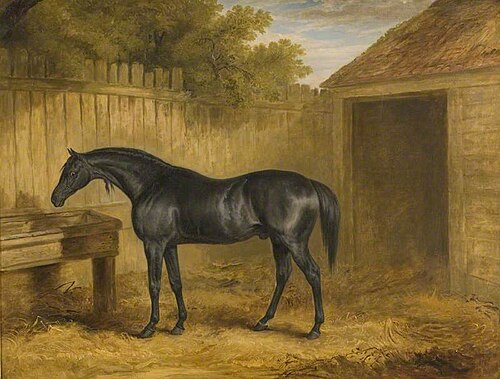 Black Stallion Outside a Stable, 1830, 