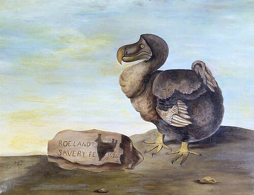The Dodo, , 