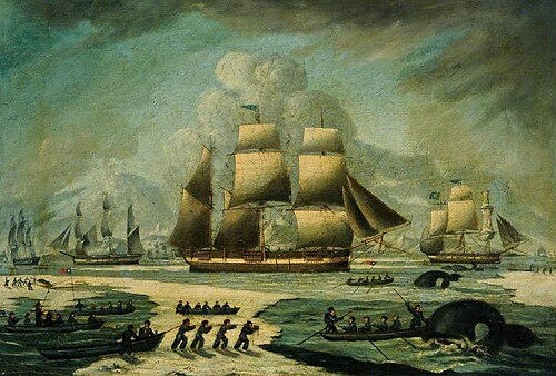 Whaling Barques and Whale Boats in the Arctic, 1888, 