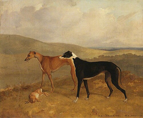 Two Dogs, Called ‘Dotterel’ and ‘Defiance’, 1830, 