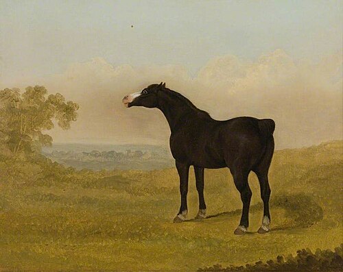 Horse in a Landscape, 1815, 