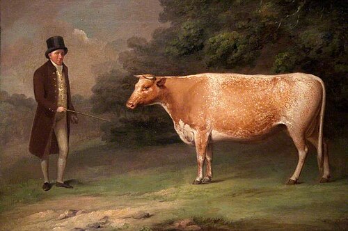 A Shorthorn Cow with a Figure, 1800, 