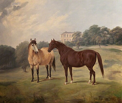 Bank Hall, 1850, 