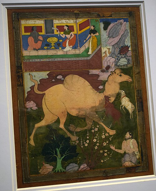 Accidental killing of a camel by two bullocks, 1580, 