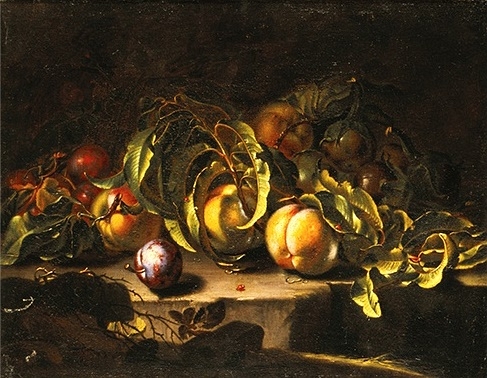 Nature morte aux pêches., 1650, 