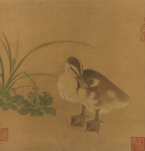 Duckling, , 