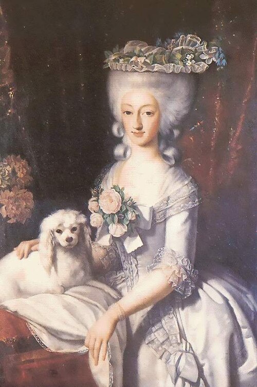 Portrait of Maria Anna of Savoy, 1780, 
