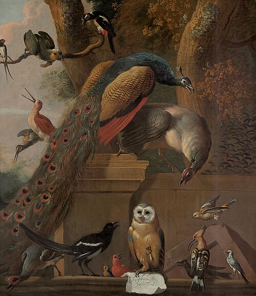 Bird Concert, , 