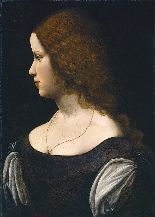 Portrait of a Young Lady, 1500, 