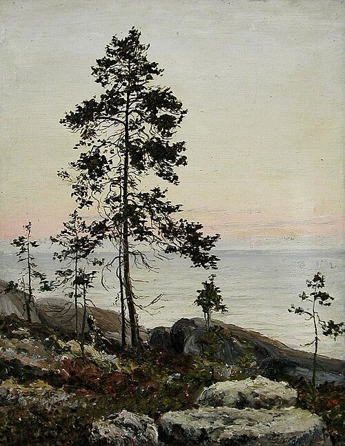 Берег Белого моря, 1909, 