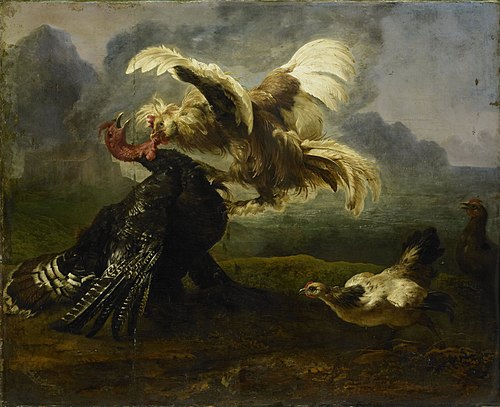 Birds fighting, 1655, 