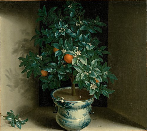 Oranjeboompje in porseleinen vaas, 1650, 