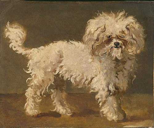 Poodle, 1849, 