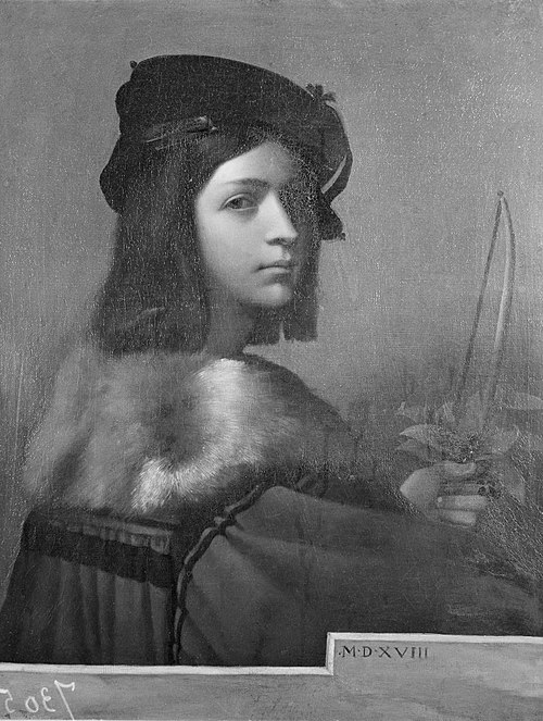 Youth wearing a beret, 1518, 