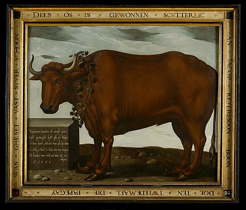 Portrait of an ox won in a parrot shooting contest, 1564, 