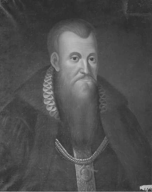 Portrait of Nils Göransson Gyllenstierna, , 