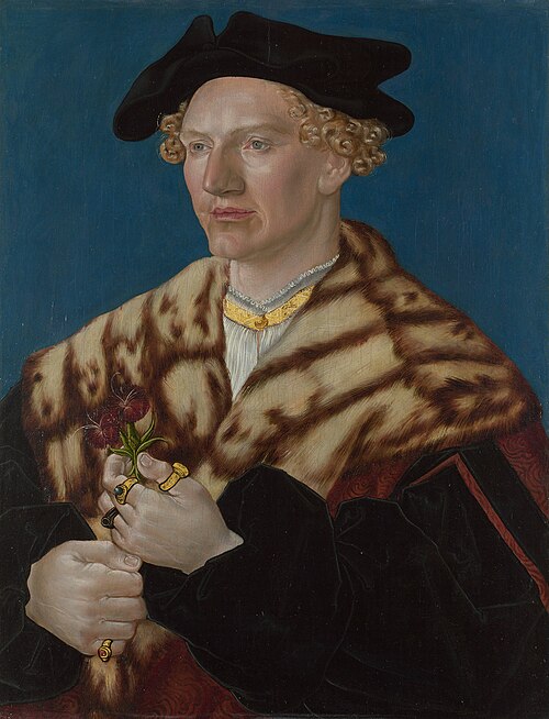 Portrait of a Man, 1530, 